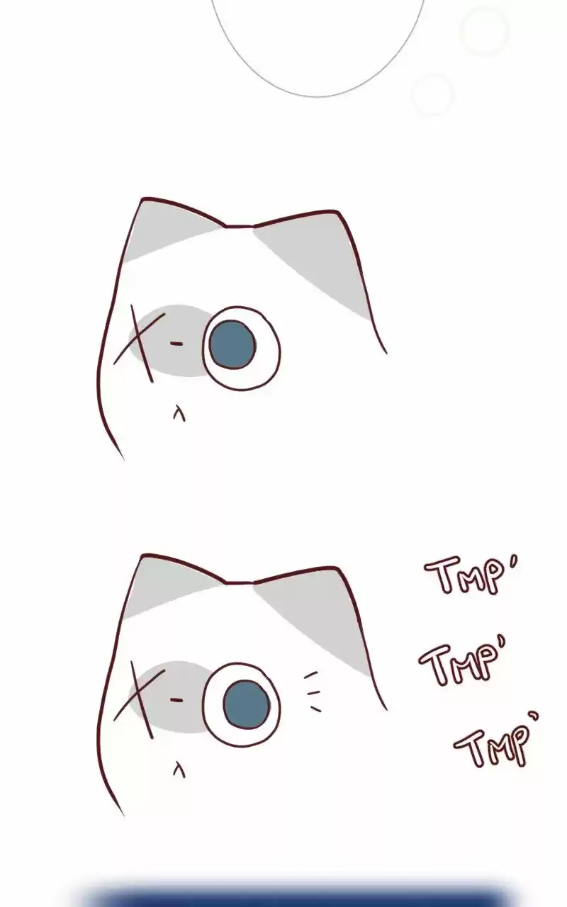 Saphie: The One-Eyed Cat (2016) - Capítulo 22 - Página 7 - LectorTMOo