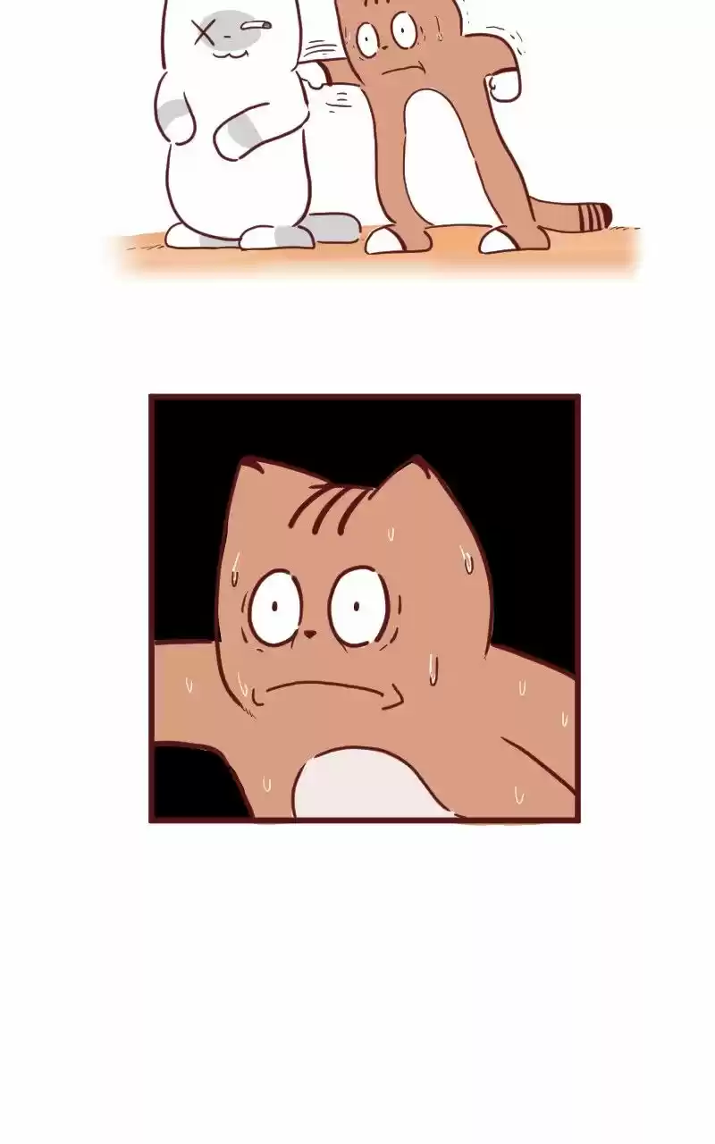 Saphie: The One-Eyed Cat (2016) - Capítulo 24 - Página 5 - LectorTMOo