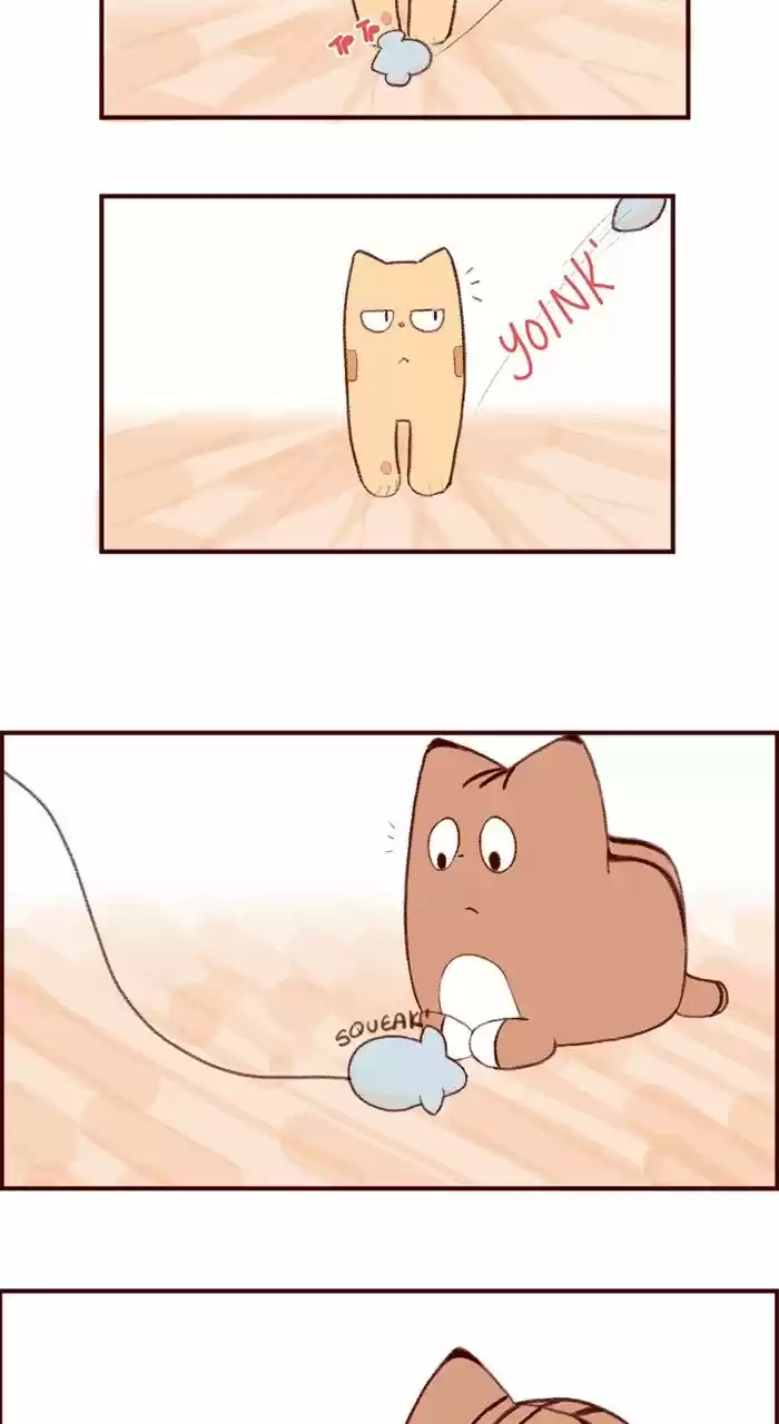 Saphie: The One-Eyed Cat (2016) - Capítulo 3 - Página 5 - LectorTMOo