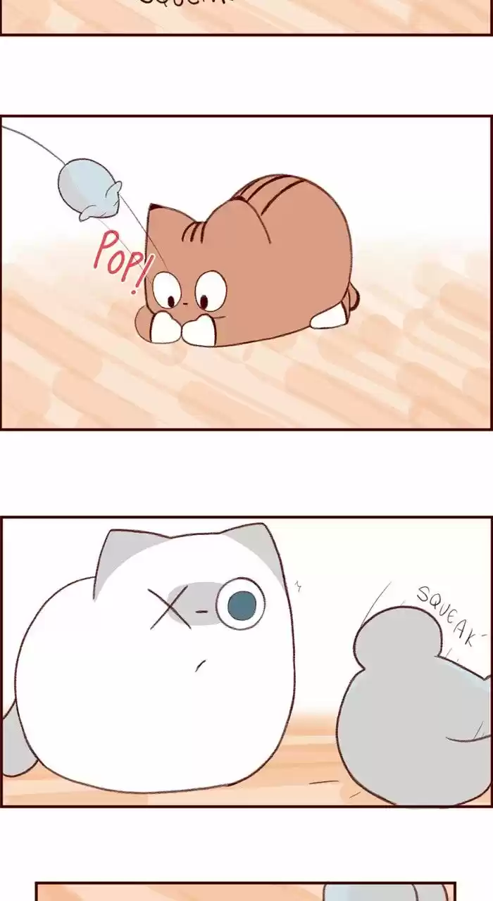 Saphie: The One-Eyed Cat (2016) - Capítulo 3 - Página 7 - LectorTMOo