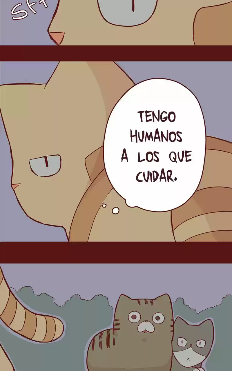 Saphie: The One-Eyed Cat (2016) - Capítulo 35 - Página 4 - LectorTMOo
