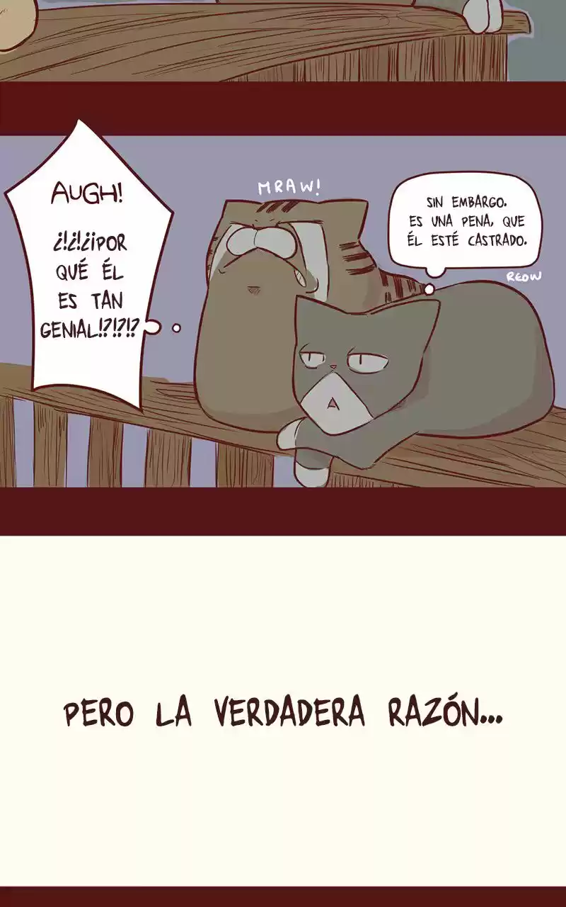 Saphie: The One-Eyed Cat (2016) - Capítulo 35 - Página 5 - LectorTMOo