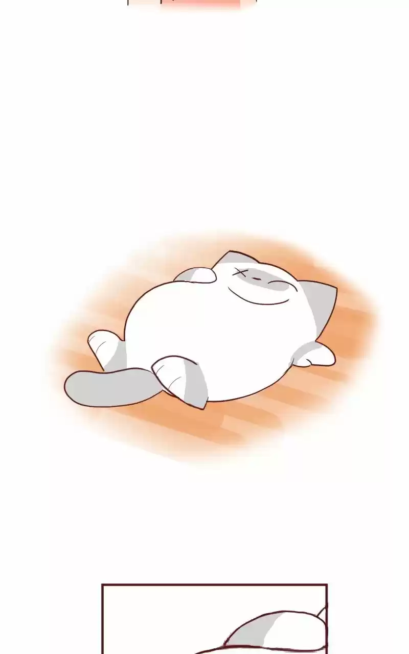 Saphie: The One-Eyed Cat (2016) - Capítulo 4 - Página 5 - LectorTMOo