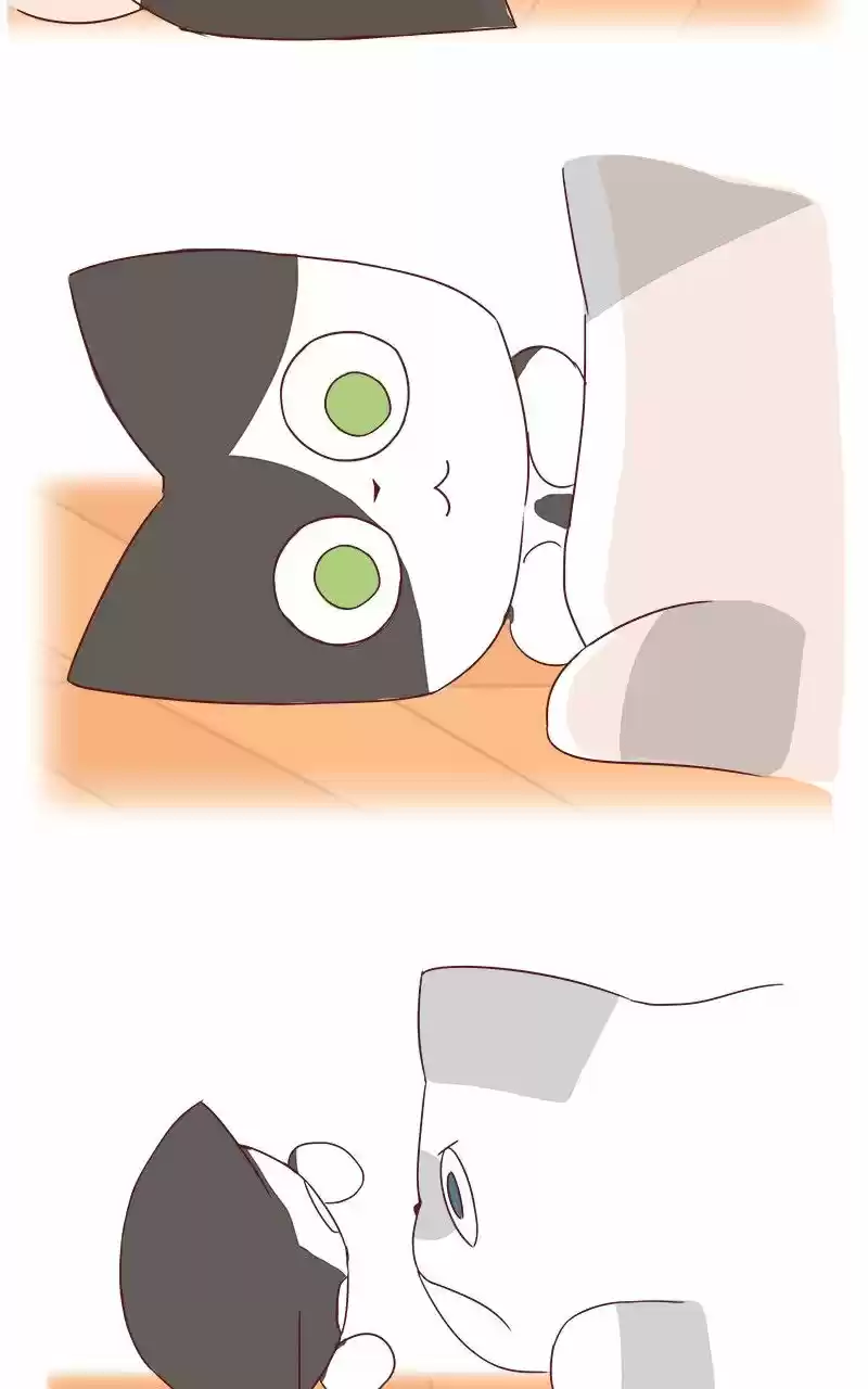 Saphie: The One-Eyed Cat (2016) - Capítulo 40 - Página 6 - LectorTMOo