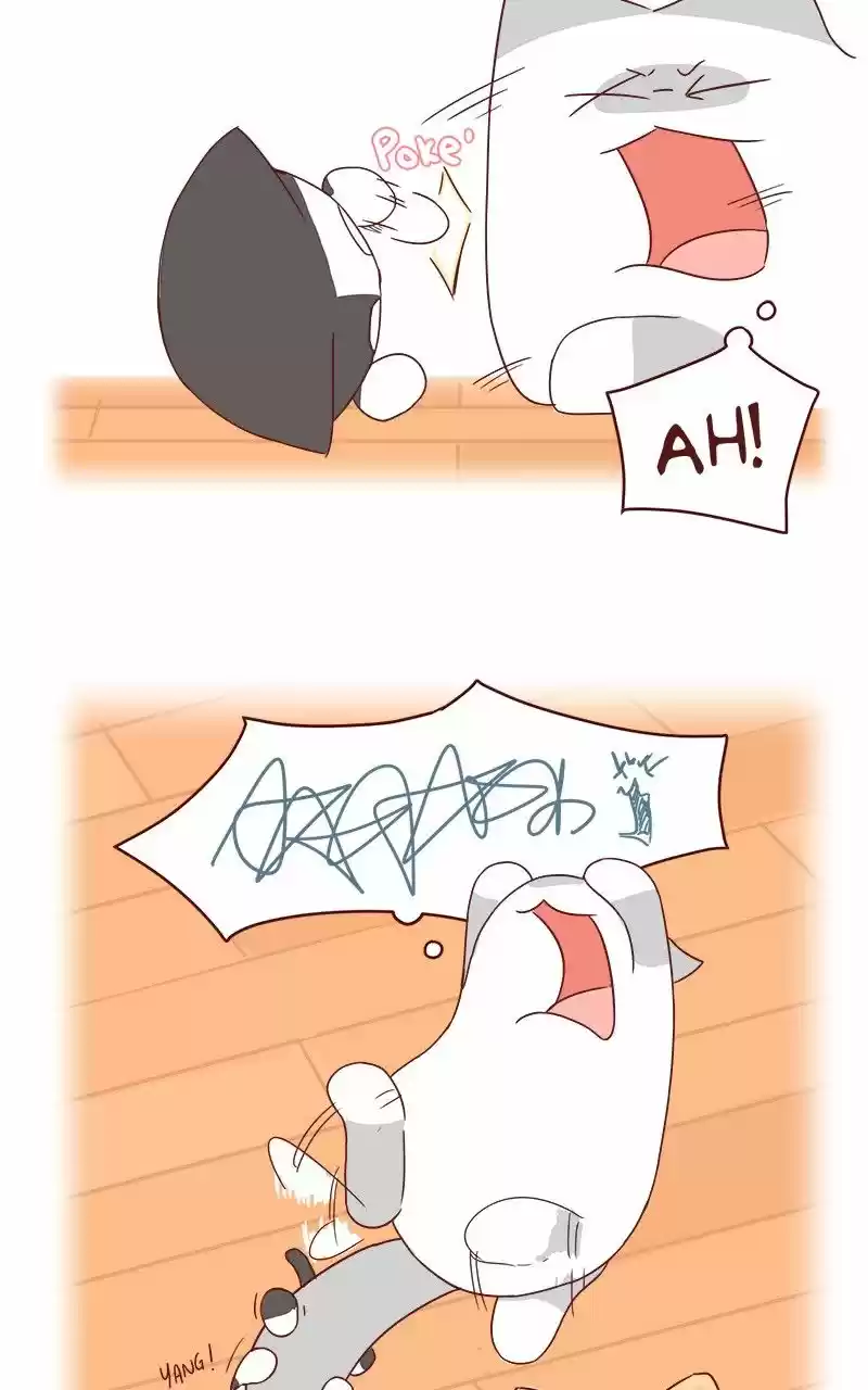 Saphie: The One-Eyed Cat (2016) - Capítulo 40 - Página 8 - LectorTMOo