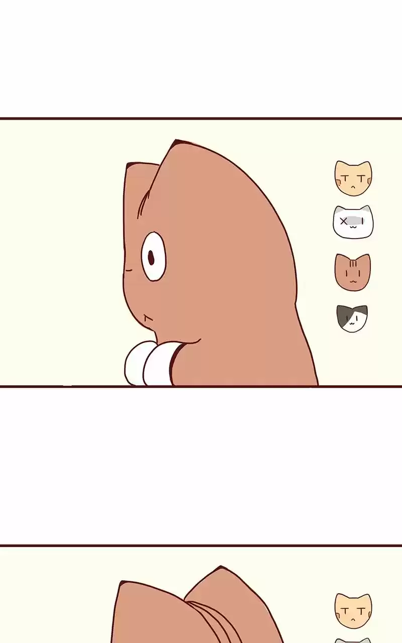 Saphie: The One-Eyed Cat (2016) - Capítulo 41 - Página 5 - LectorTMOo