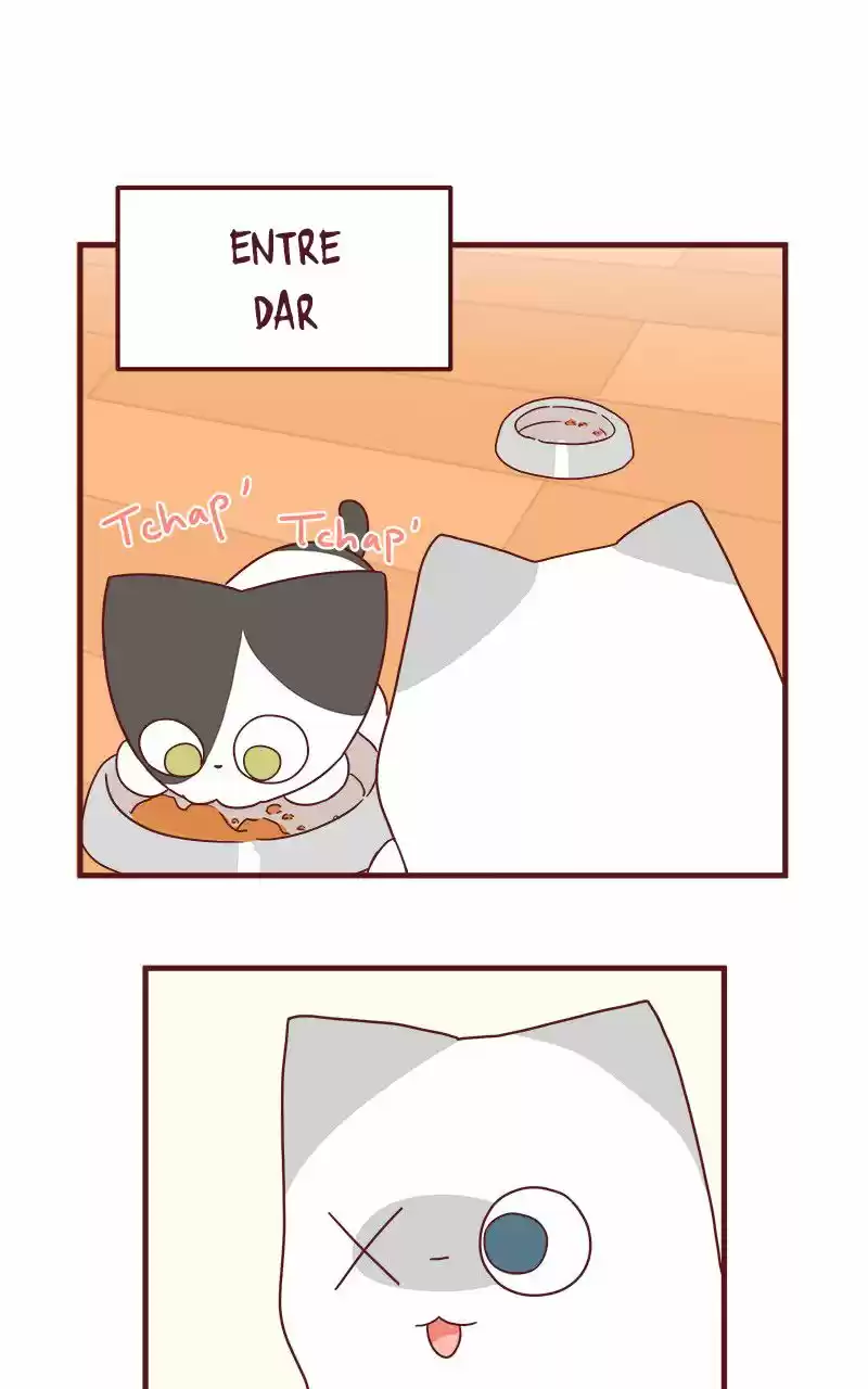 Saphie: The One-Eyed Cat (2016) - Capítulo 42 - Página 4 - LectorTMOo