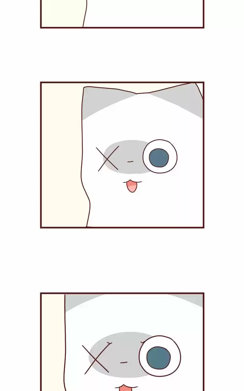 Saphie: The One-Eyed Cat (2016) - Capítulo 42 - Página 5 - LectorTMOo