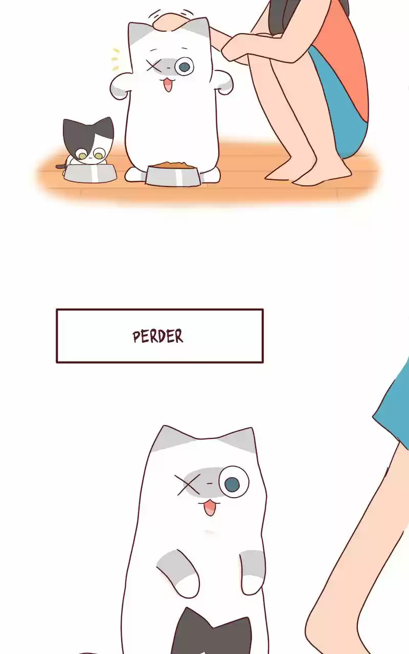 Saphie: The One-Eyed Cat (2016) - Capítulo 42 - Página 9 - LectorTMOo