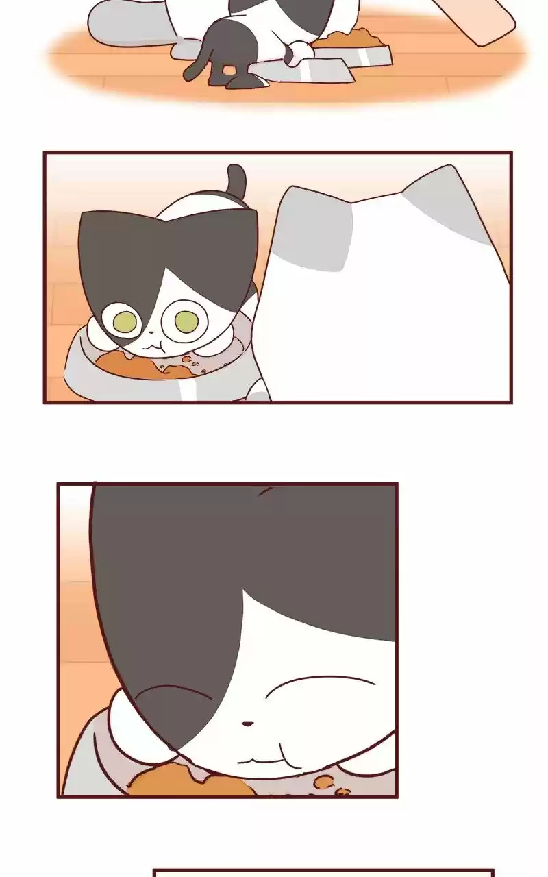 Saphie: The One-Eyed Cat (2016) - Capítulo 42 - Página 10 - LectorTMOo