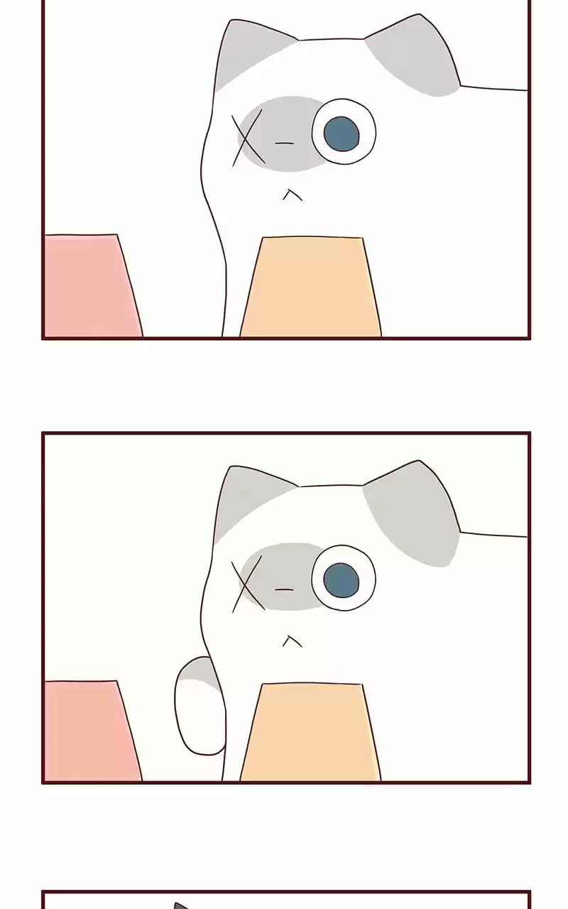 Saphie: The One-Eyed Cat (2016) - Capítulo 43 - Página 6 - LectorTMOo