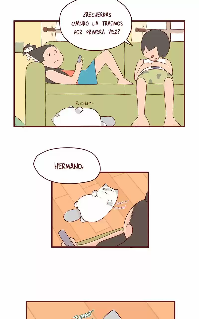 Saphie: The One-Eyed Cat (2016) - Capítulo 44 - Página 4 - LectorTMOo