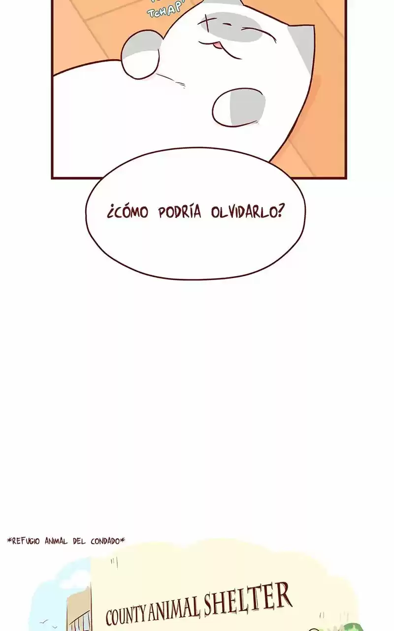 Saphie: The One-Eyed Cat (2016) - Capítulo 44 - Página 5 - LectorTMOo