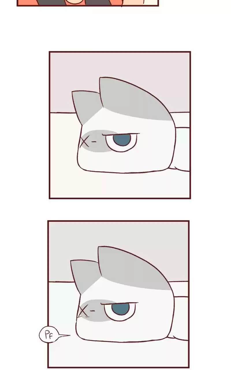 Saphie: The One-Eyed Cat (2016) - Capítulo 45 - Página 9 - LectorTMOo