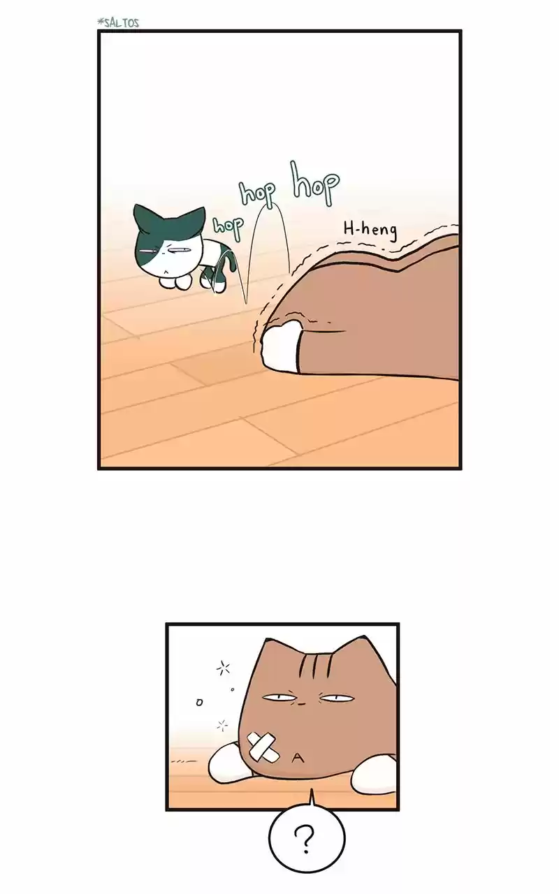 Saphie: The One-Eyed Cat (2016) - Capítulo 48 - Página 4 - LectorTMOo