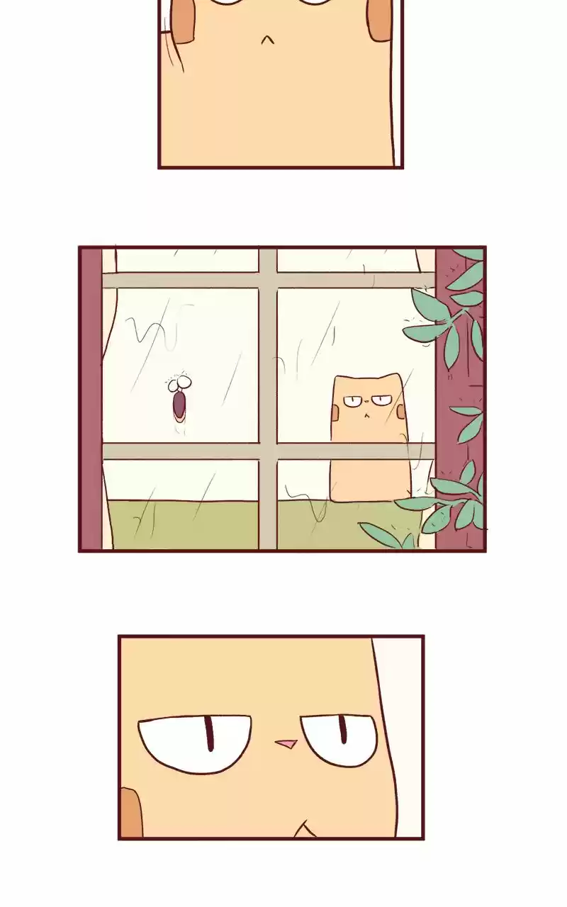 Saphie: The One-Eyed Cat (2016) - Capítulo 49 - Página 4 - LectorTMOo