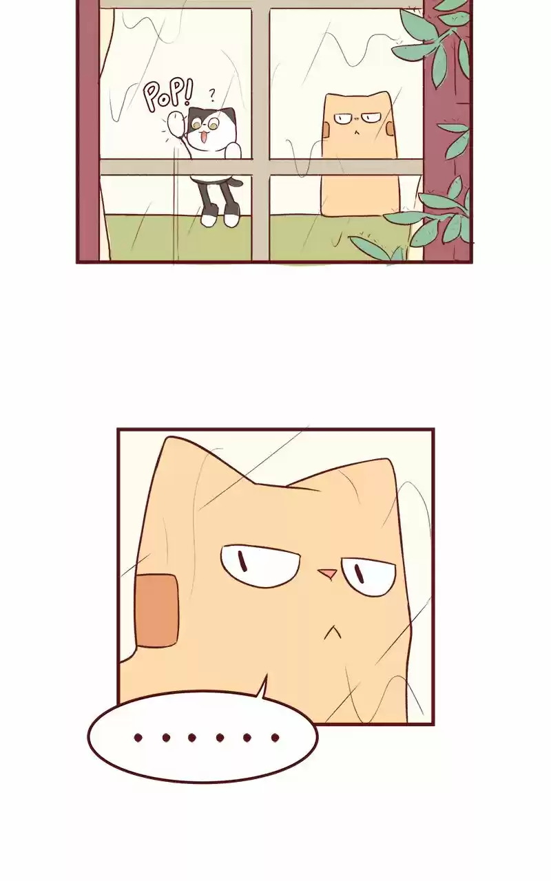 Saphie: The One-Eyed Cat (2016) - Capítulo 49 - Página 8 - LectorTMOo
