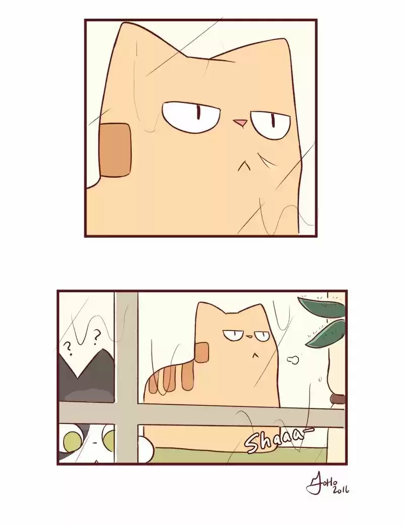 Saphie: The One-Eyed Cat (2016) - Capítulo 49 - Página 9 - LectorTMOo