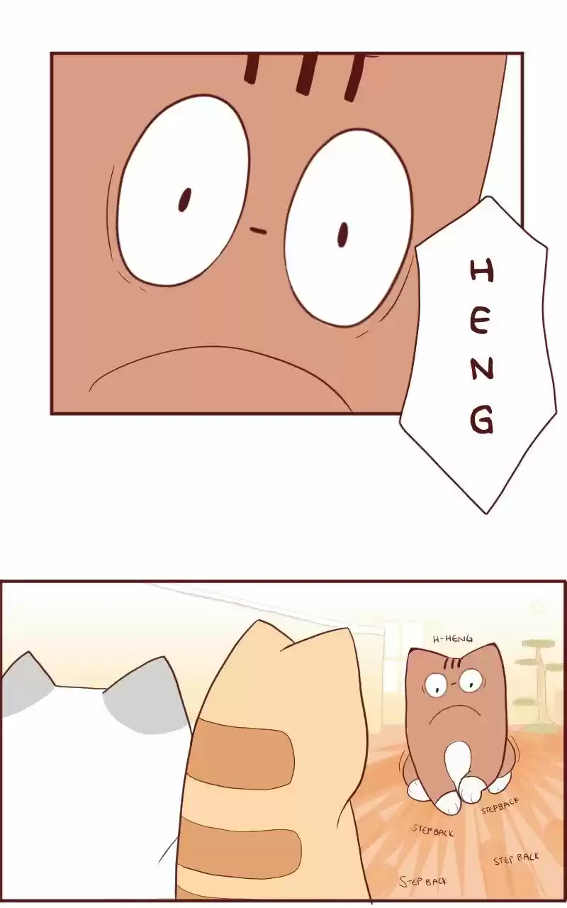 Saphie: The One-Eyed Cat (2016) - Capítulo 5 - Página 5 - LectorTMOo