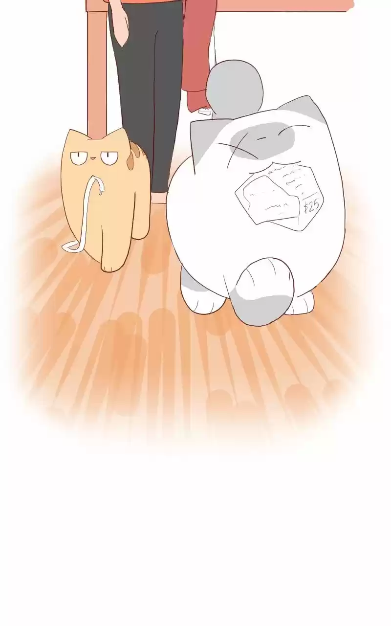 Saphie: The One-Eyed Cat (2016) - Capítulo 5 - Página 16 - LectorTMOo