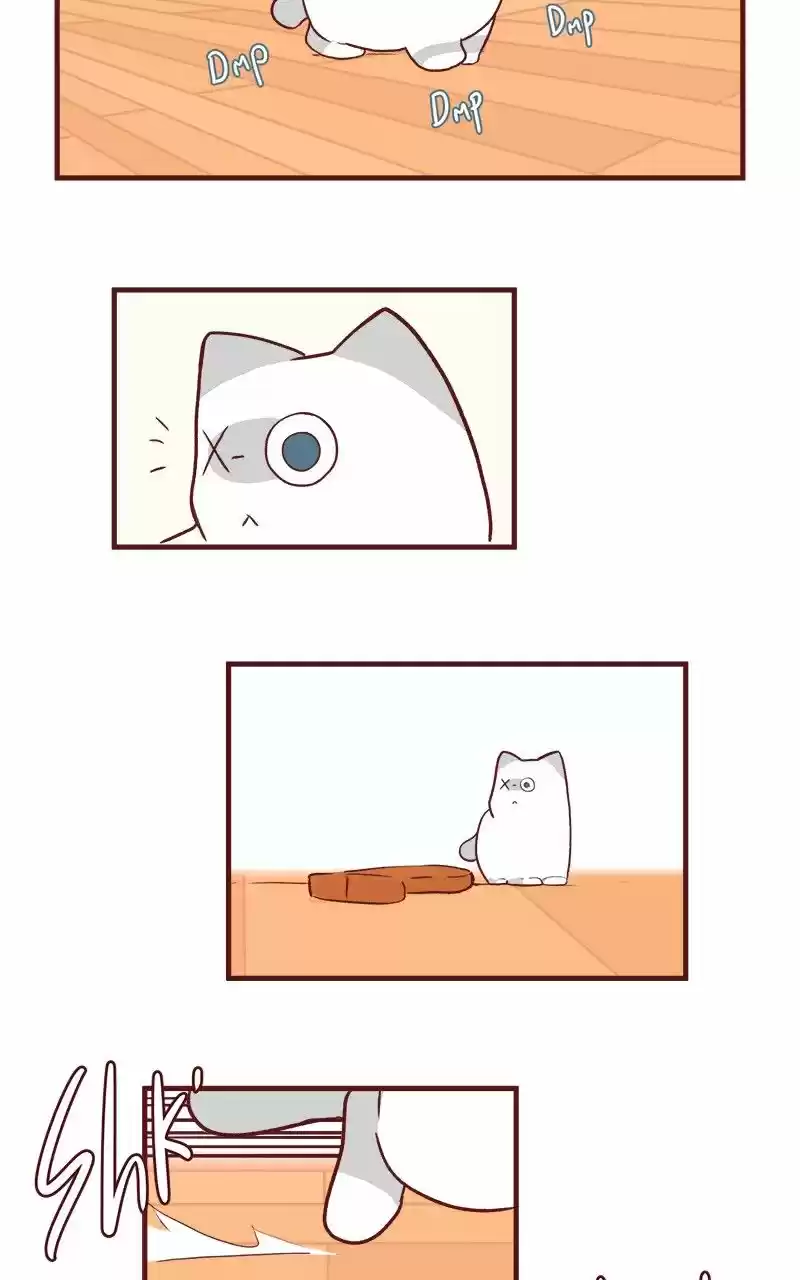 Saphie: The One-Eyed Cat (2016) - Capítulo 50 - Página 6 - LectorTMOo