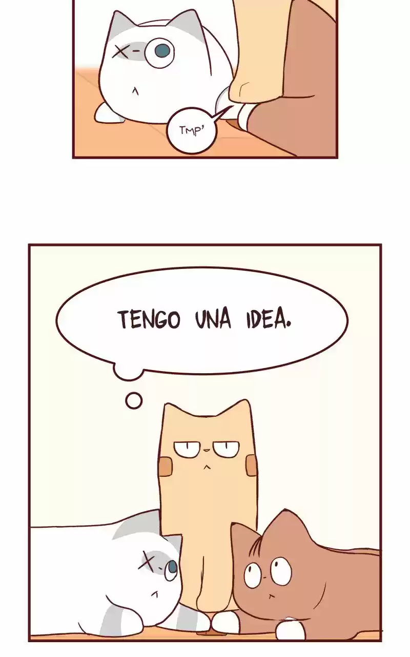 Saphie: The One-Eyed Cat (2016) - Capítulo 50 - Página 8 - LectorTMOo