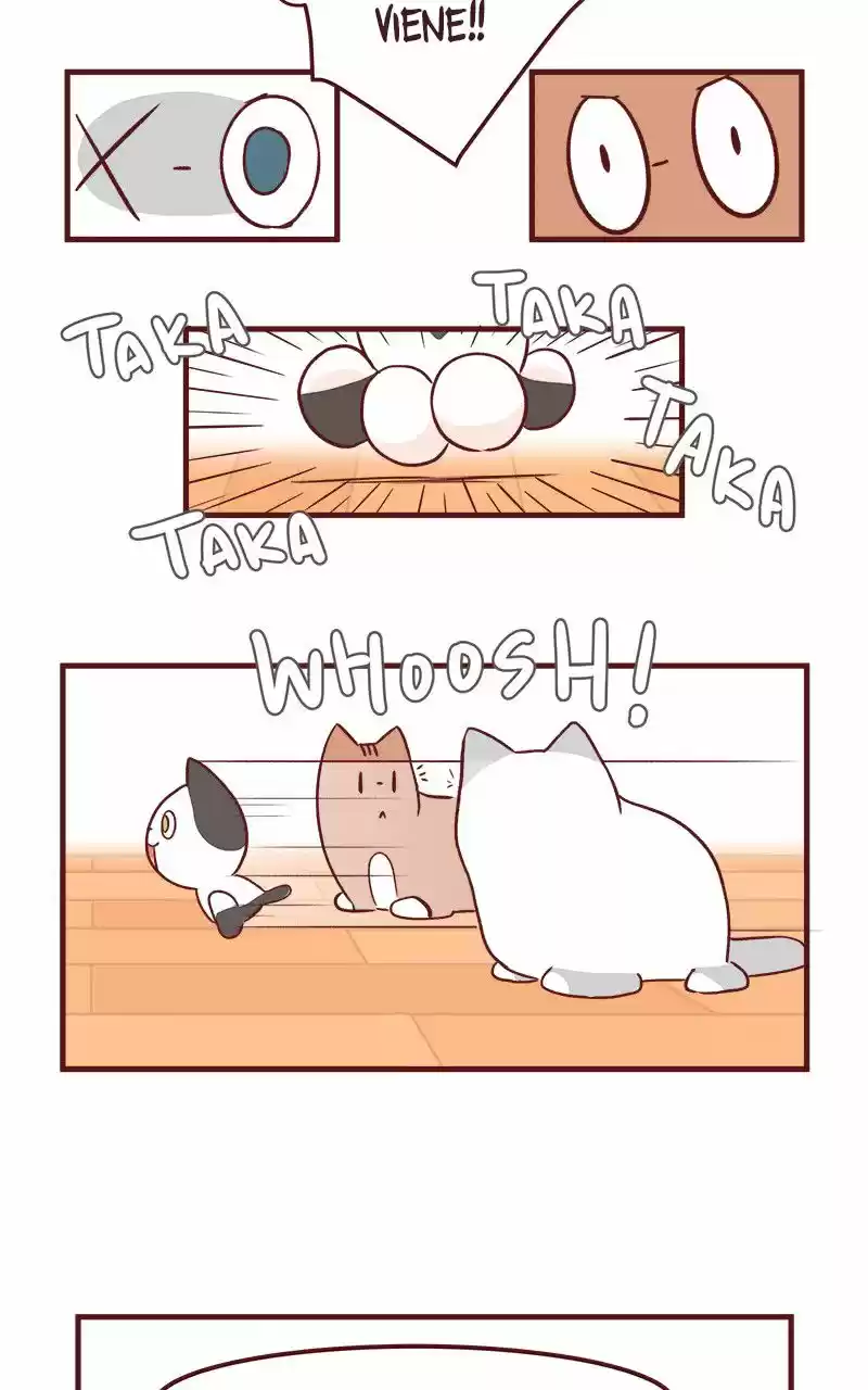 Saphie: The One-Eyed Cat (2016) - Capítulo 50 - Página 14 - LectorTMOo