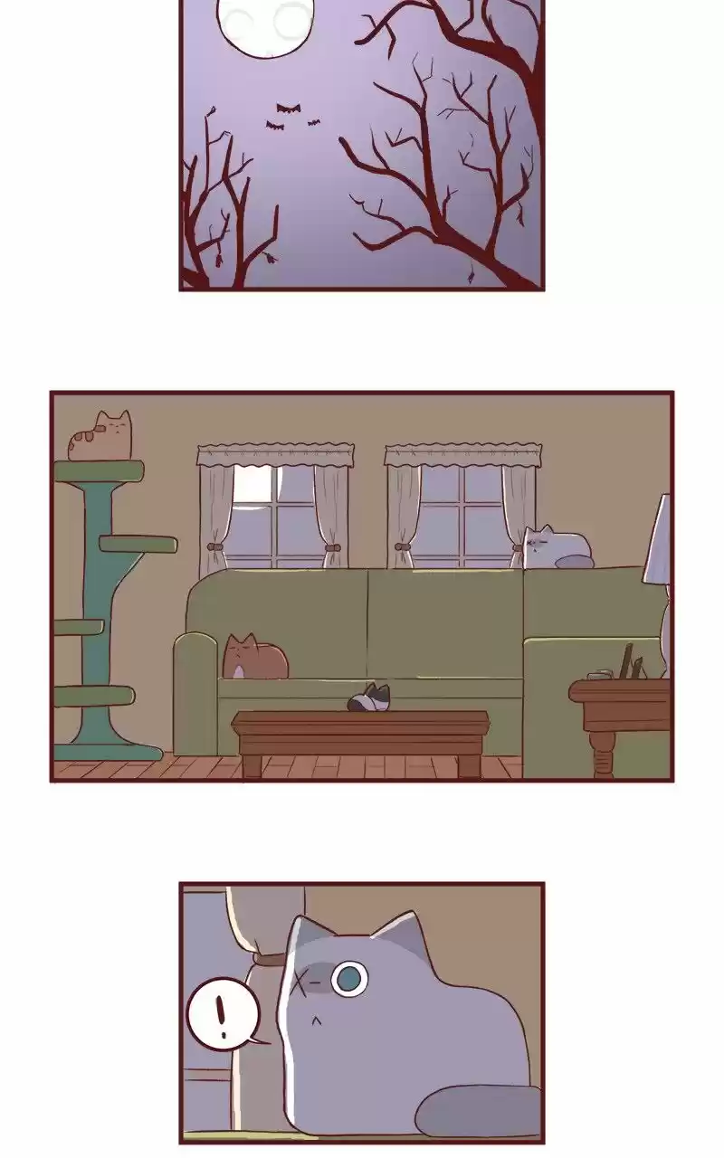 Saphie: The One-Eyed Cat (2016) - Capítulo 51 - Página 2 - LectorTMOo