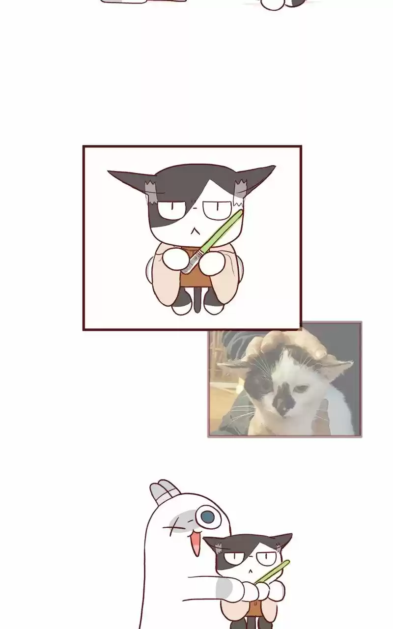 Saphie: The One-Eyed Cat (2016) - Capítulo 52 - Página 5 - LectorTMOo
