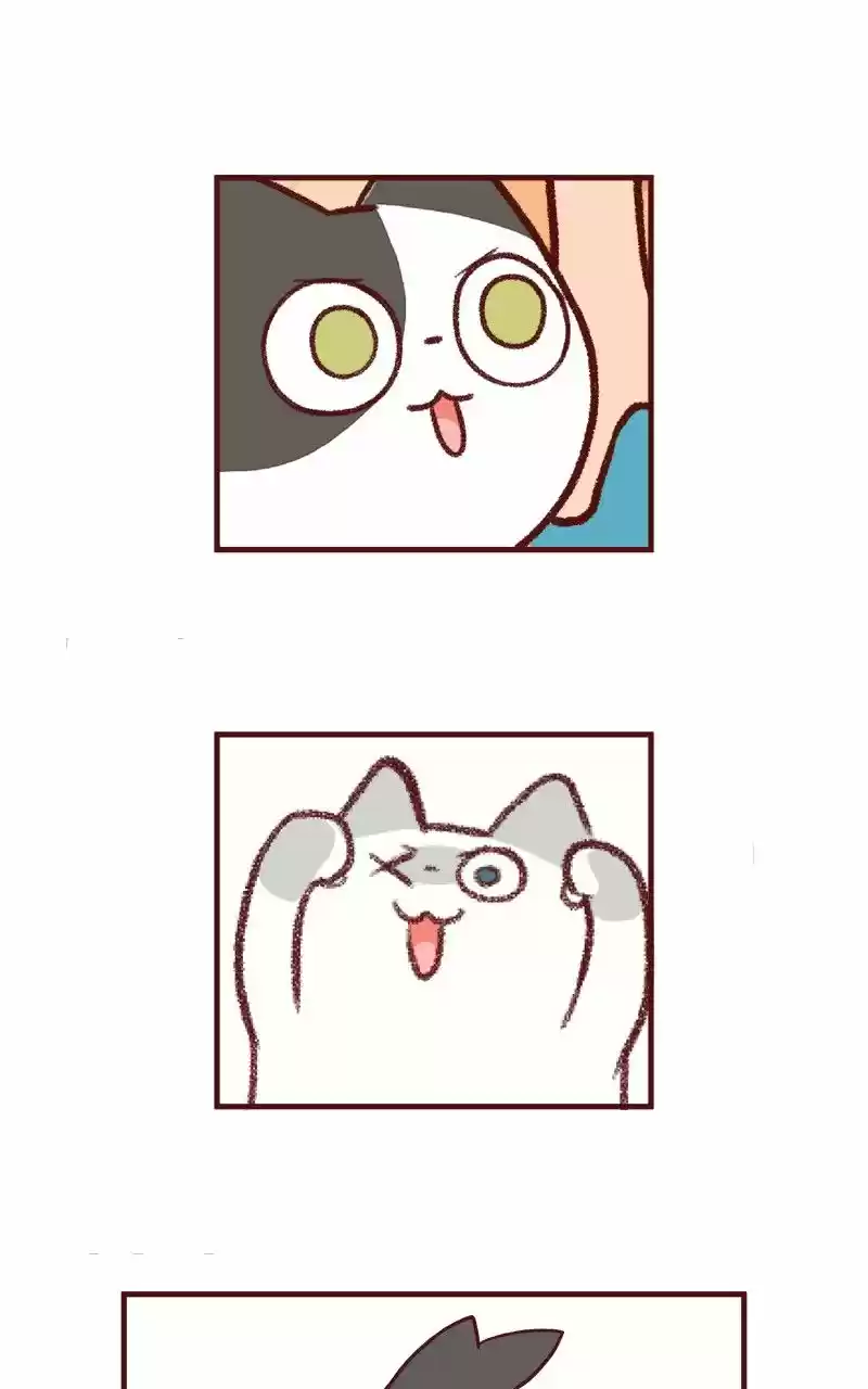 Saphie: The One-Eyed Cat (2016) - Capítulo 56 - Página 9 - LectorTMOo