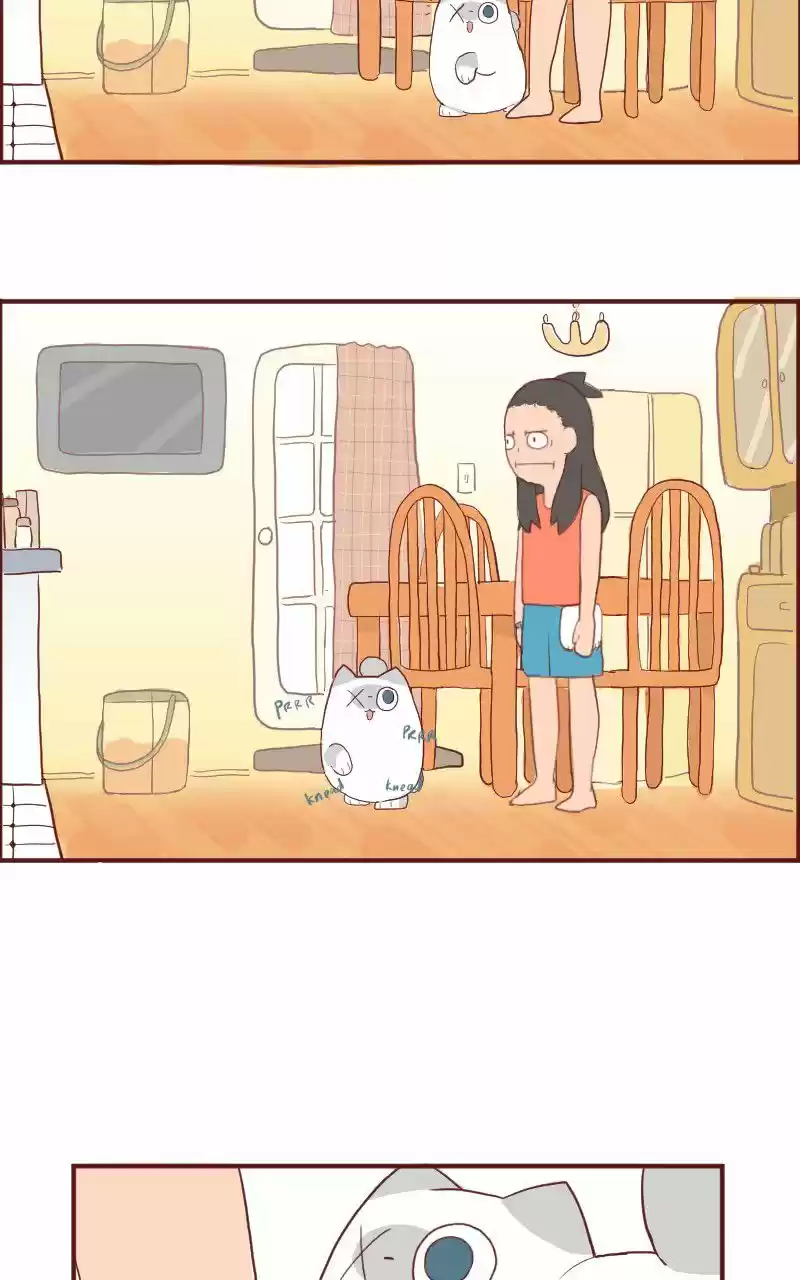 Saphie: The One-Eyed Cat (2016) - Capítulo 6 - Página 9 - LectorTMOo