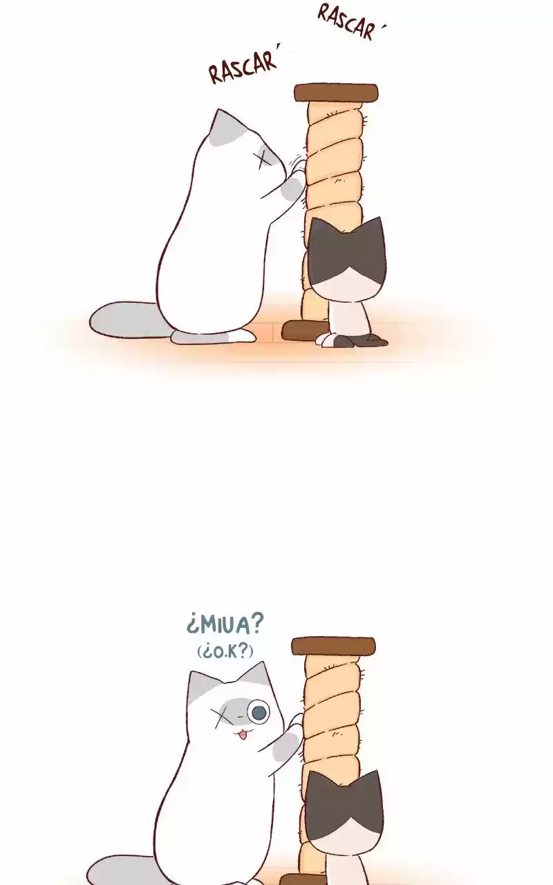 Saphie: The One-Eyed Cat (2016) - Capítulo 61 - Página 2 - LectorTMOo