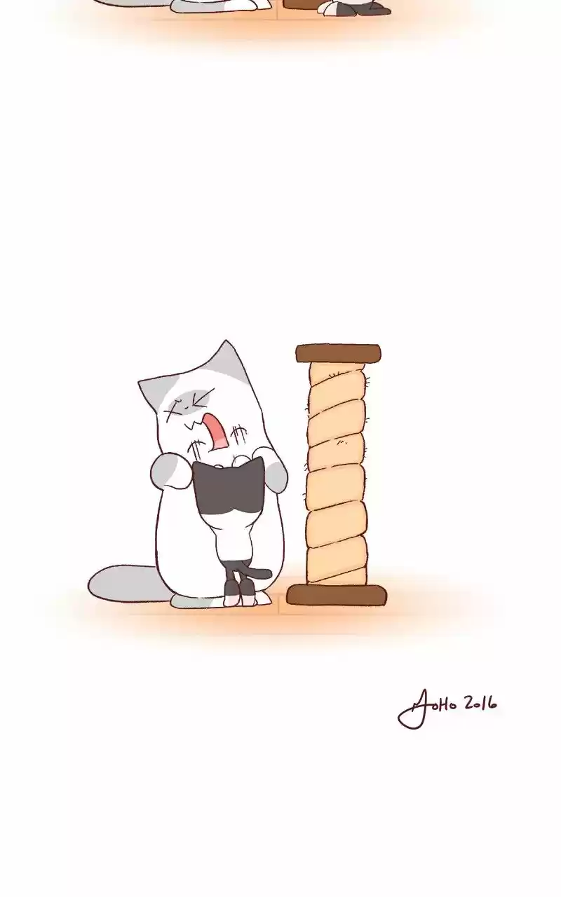 Saphie: The One-Eyed Cat (2016) - Capítulo 61 - Página 3 - LectorTMOo