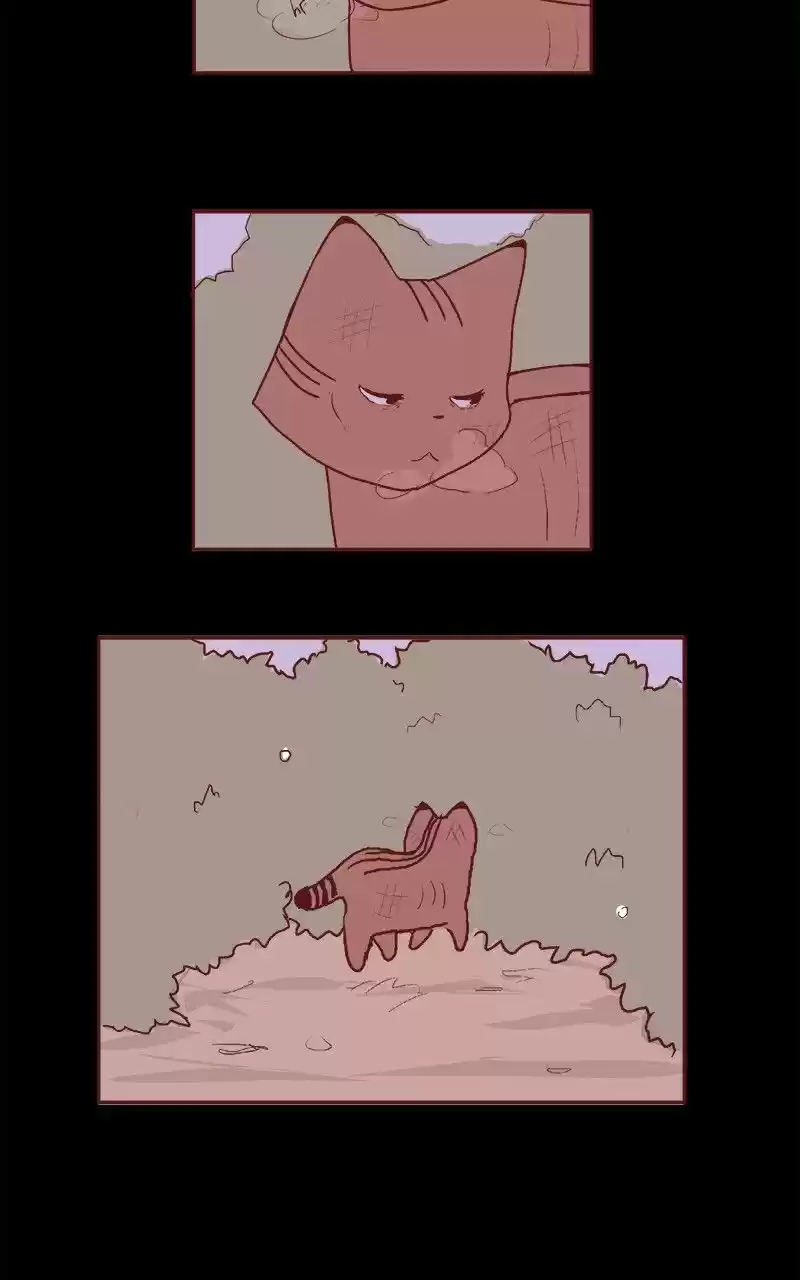 Saphie: The One-Eyed Cat (2016) - Capítulo 66 - Página 11 - LectorTMOo