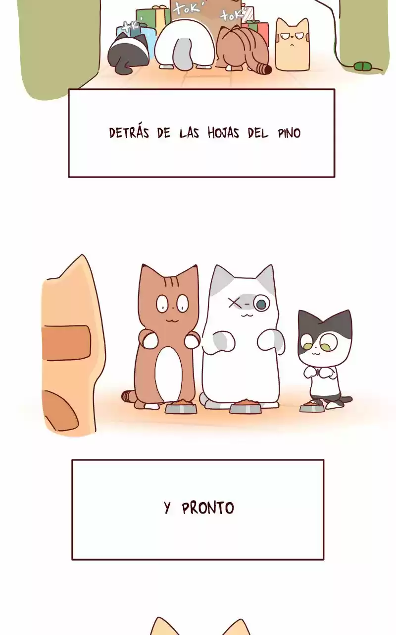 Saphie: The One-Eyed Cat (2016) - Capítulo 67 - Página 6 - LectorTMOo