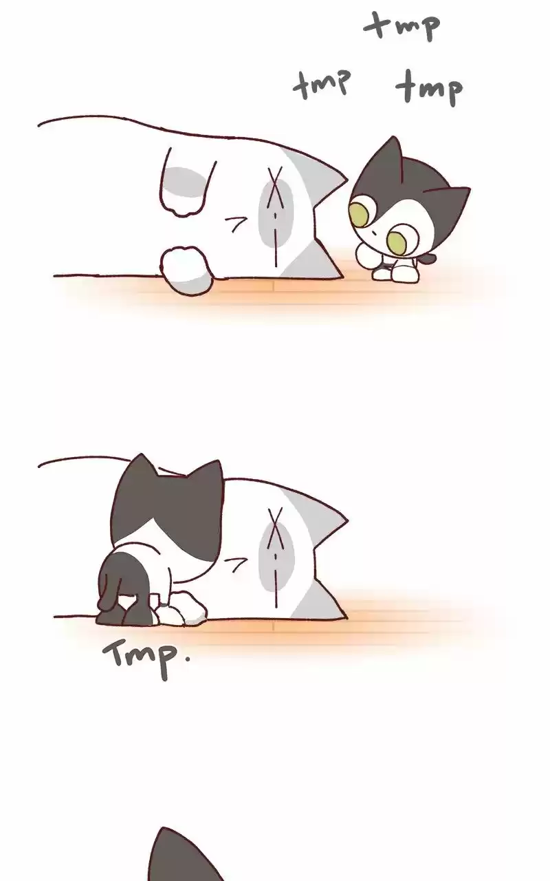Saphie: The One-Eyed Cat (2016) - Capítulo 79 - Página 4 - LectorTMOo