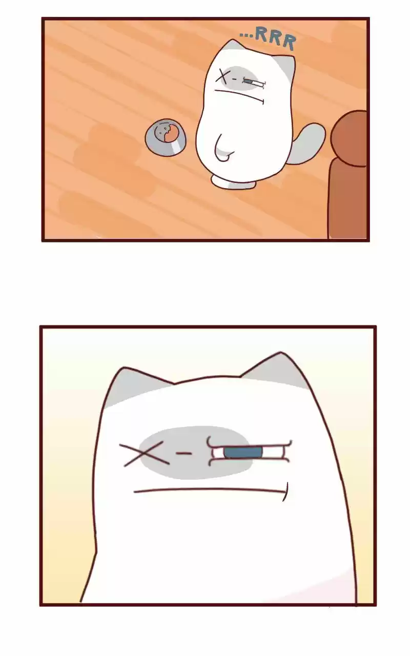 Saphie: The One-Eyed Cat (2016) - Capítulo 8 - Página 8 - LectorTMOo