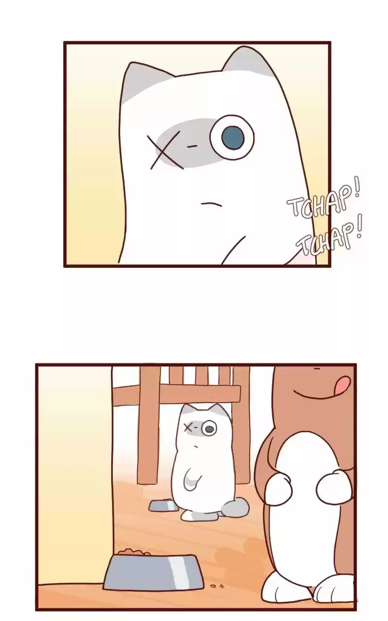 Saphie: The One-Eyed Cat (2016) - Capítulo 8 - Página 9 - LectorTMOo