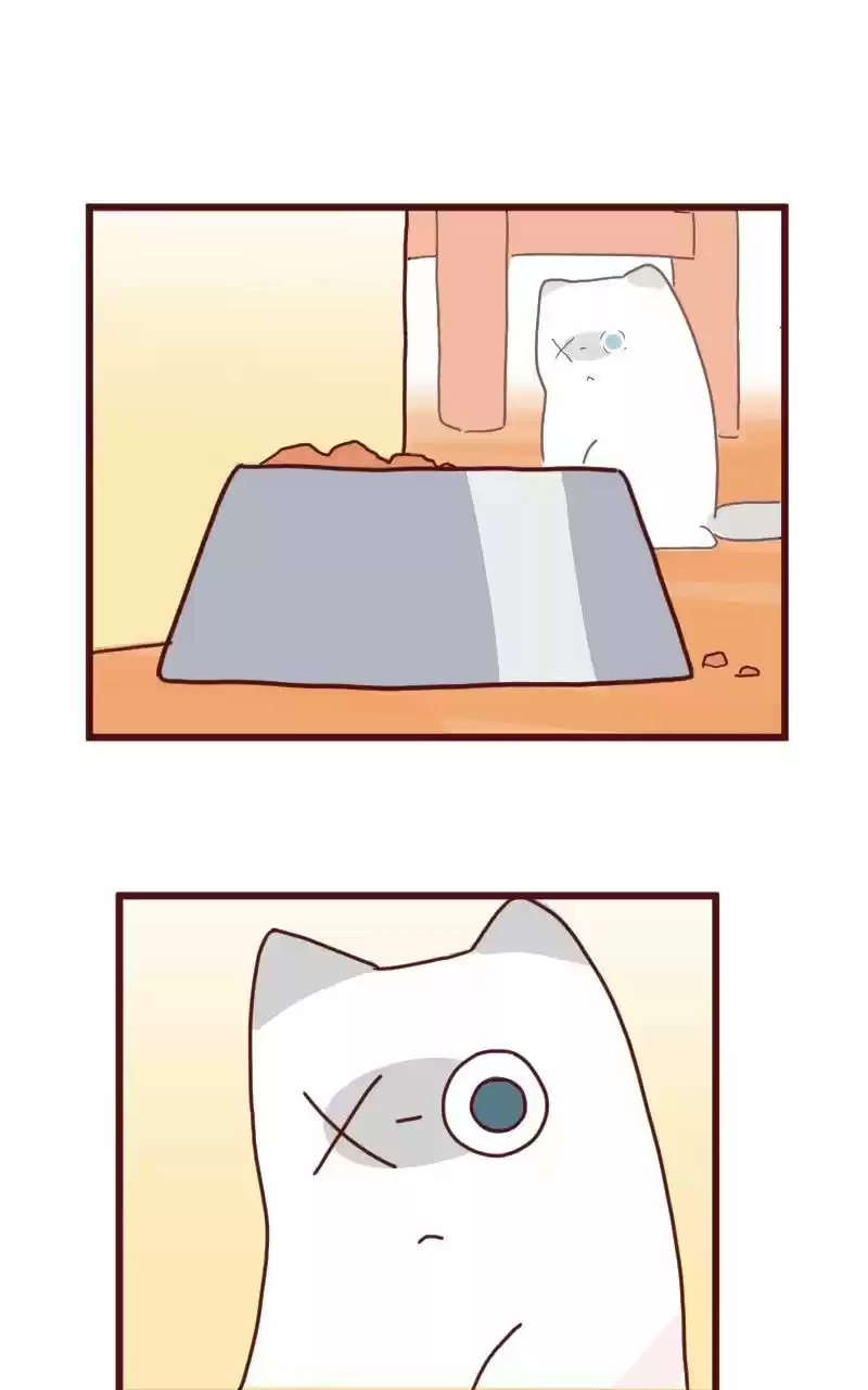 Saphie: The One-Eyed Cat (2016) - Capítulo 8 - Página 10 - LectorTMOo