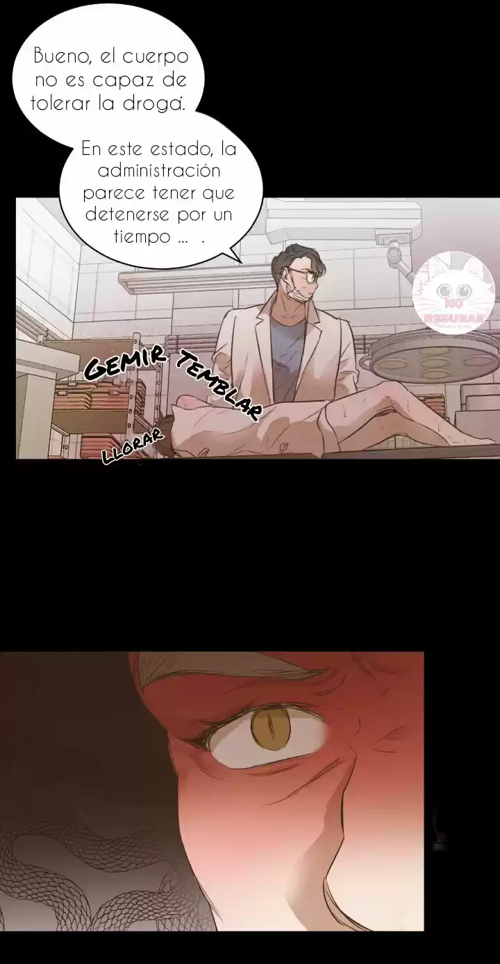 Sauce Romance (2020) - Capítulo 29 - Página 52 - LectorTMOo