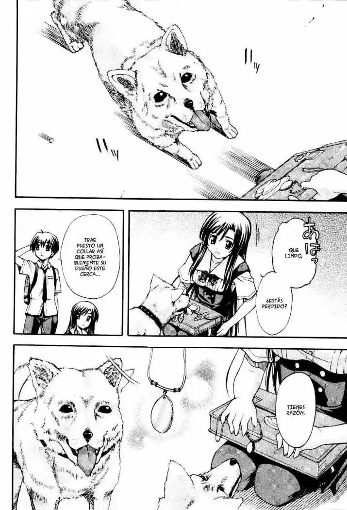 School Days (2006) - Capítulo 8 - Página 12 - LectorTMOo