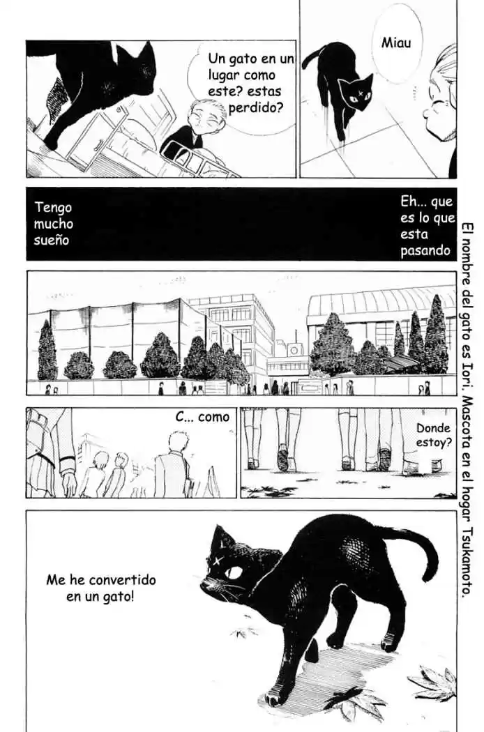 School Rumble (2002) - Capítulo 26 - Página 5 - LectorTMOo
