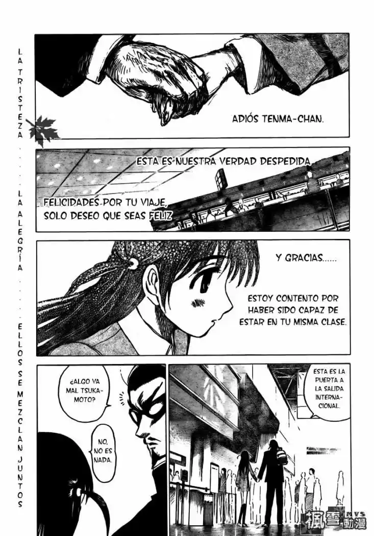 School Rumble (2002) - Capítulo 268 - Página 8 - LectorTMOo