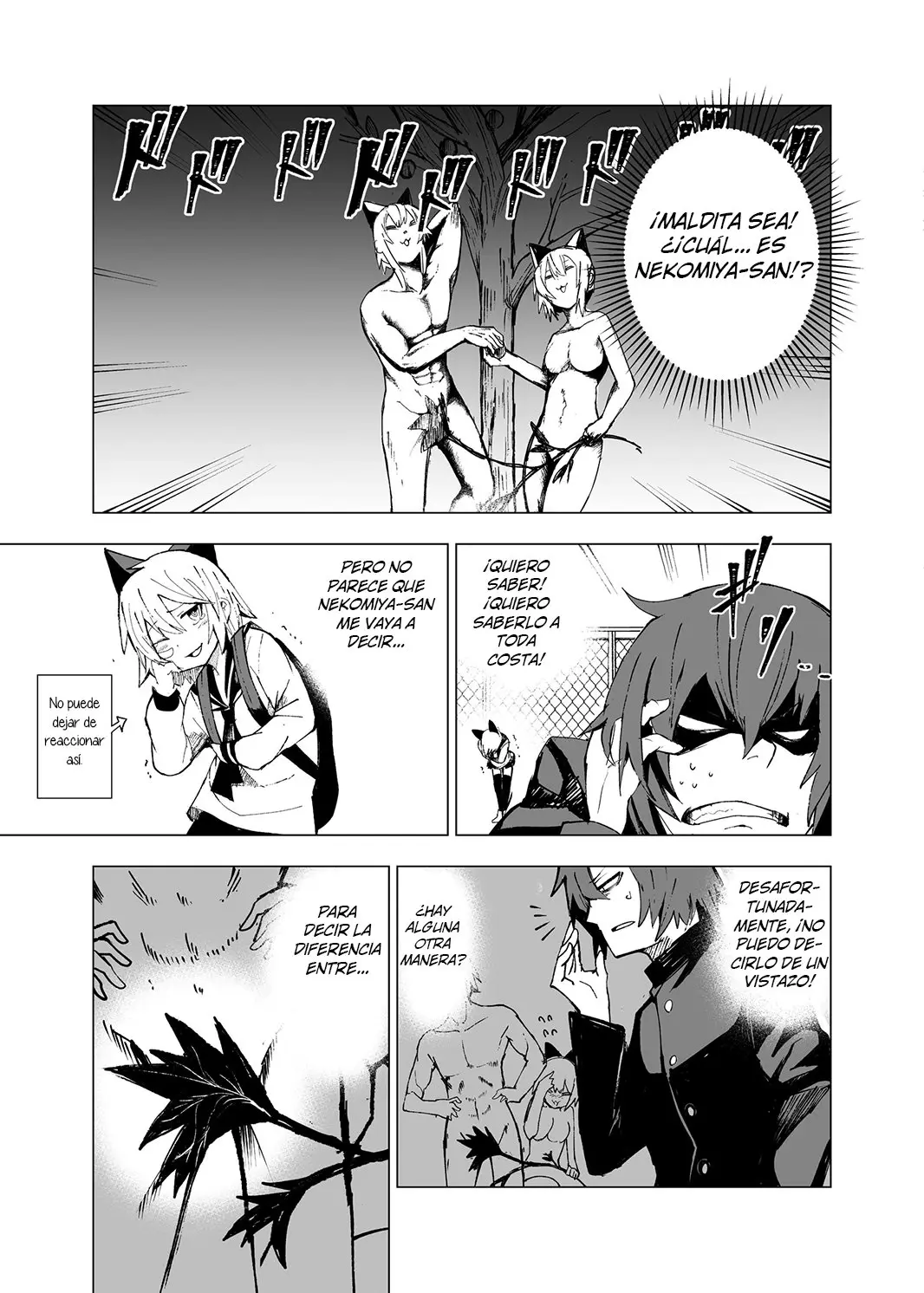 Schrodinger no Nekomiya-san (2019) - Capítulo - Página 14 - LectorTMOo