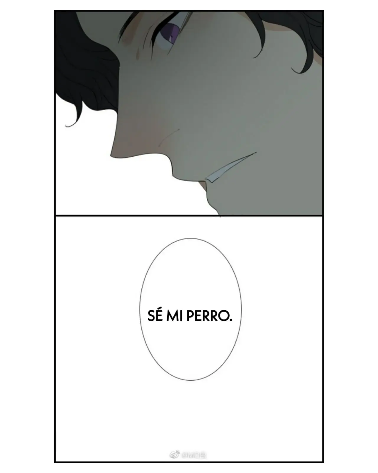 Se mi perro (2020) - Capítulo 1 - Página 11 - LectorTMOo