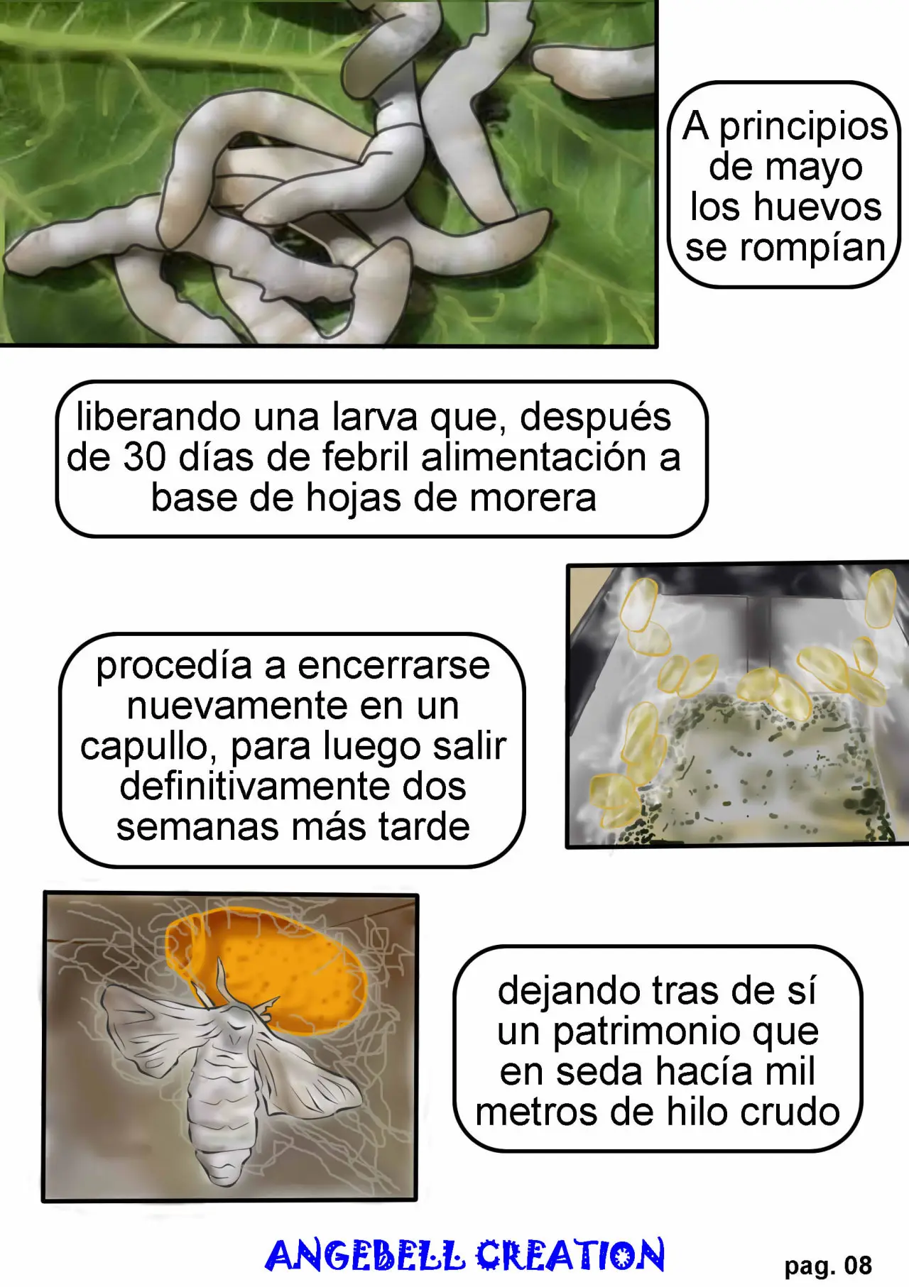 SEDA (2019) - Capítulo 1 - Página 11 - LectorTMOo