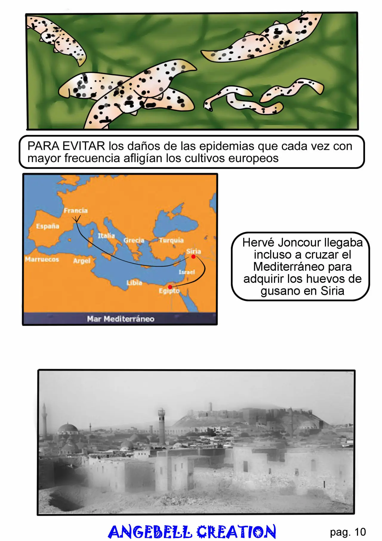 SEDA (2019) - Capítulo 1 - Página 13 - LectorTMOo
