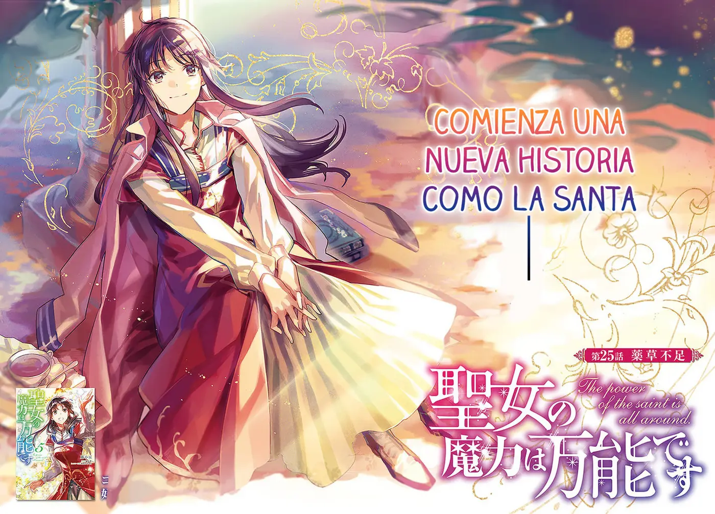 Seijo no Maryoku wa Bannou desu (2018) - Capítulo 25 - Página 3 - LectorTMOo