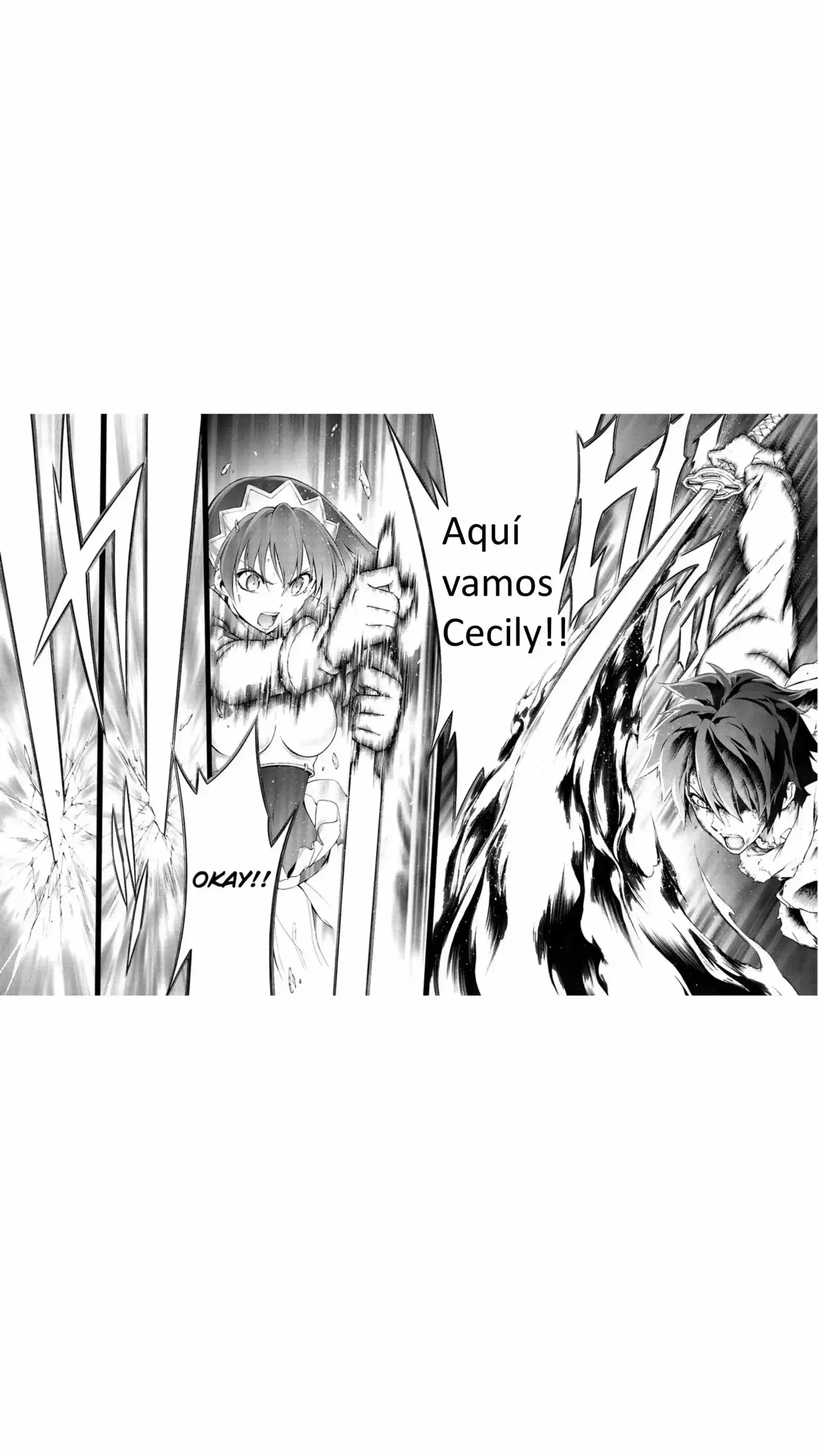 Seiken no Blacksmith (2009) - Capítulo 40 - Página 14 - LectorTMOo