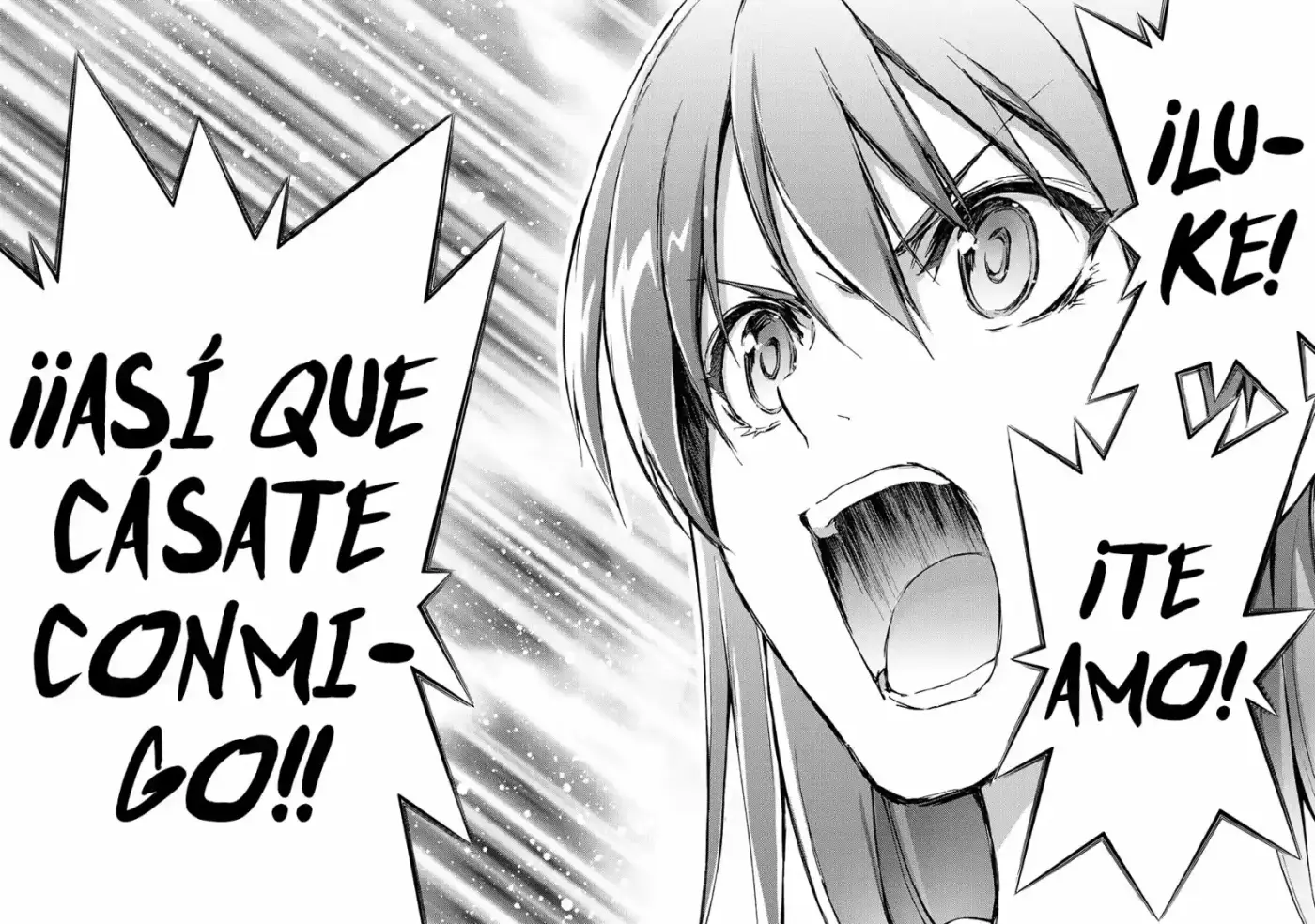 Seiken no Blacksmith (2009) - Capítulo 44 - Página 13 - LectorTMOo